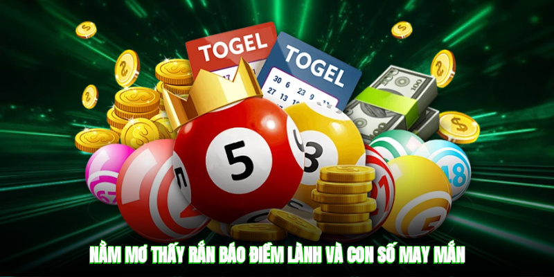 Nằm mơ thấy rắn báo điềm lành và con số may mắn